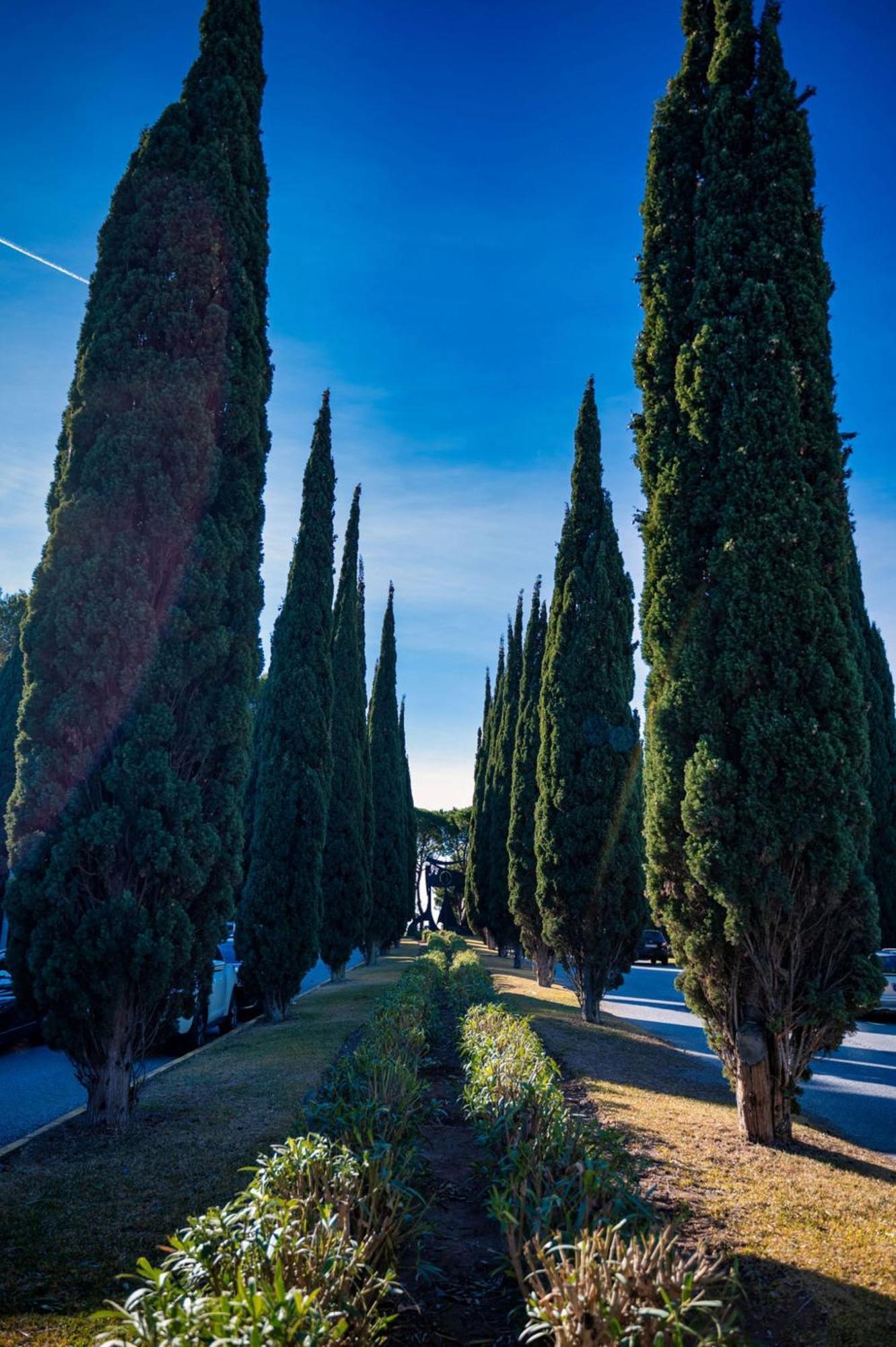 Casa Magnolia