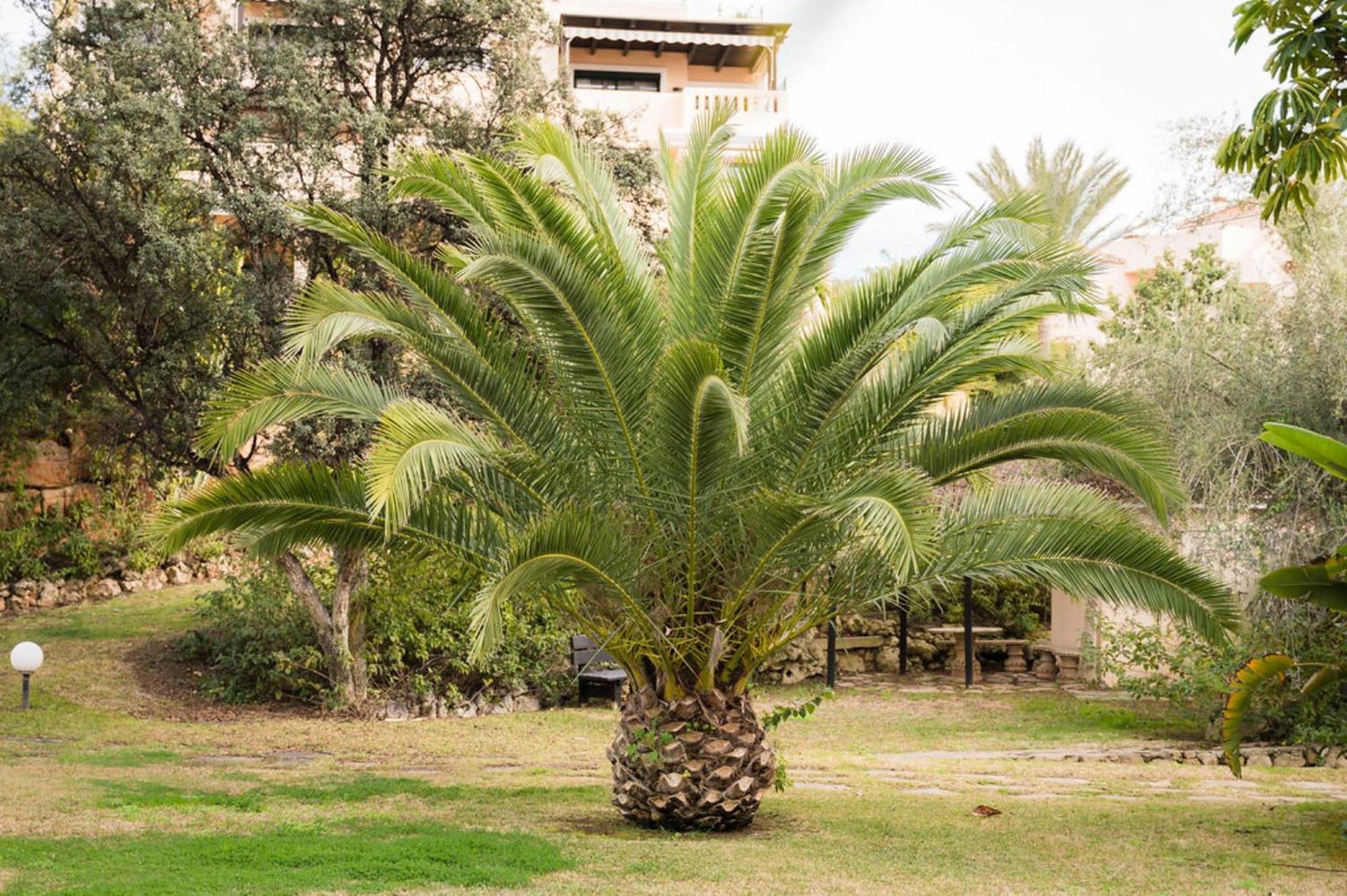 Casa Magnolia Marbellac